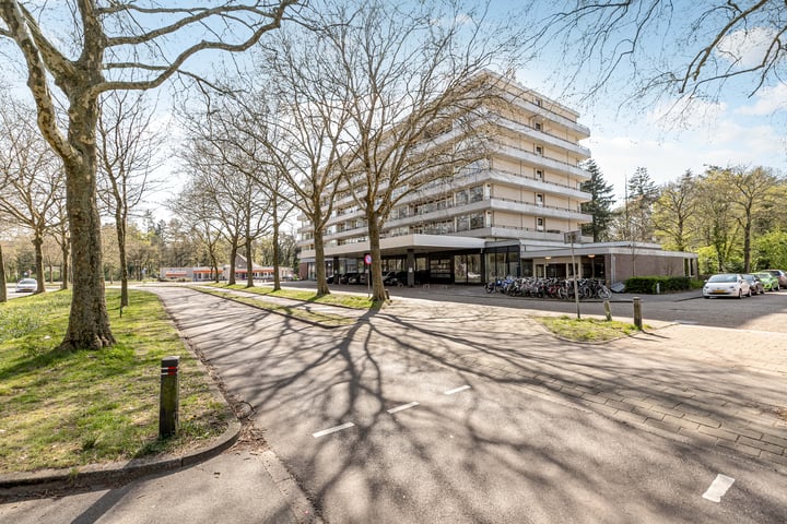 Photo of property Laan van Vollenhove 902, Zeist