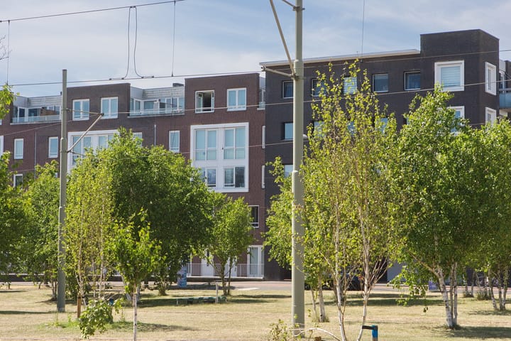 Laan van Wateringse Veld 1041 in 's-Gravenhage