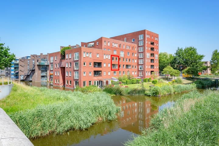 Ladogameerhof 307 in Amsterdam