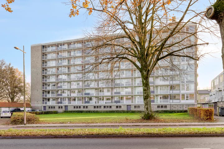 Lambert Heijnricsstraat 14E in Amersfoort