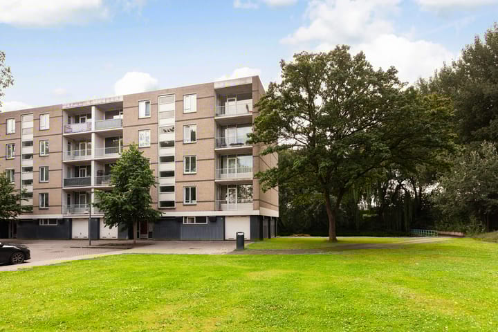 Langeplaat 265 in Rozenburg foto