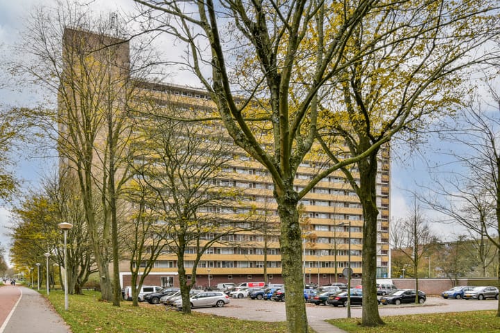 Langswater 50 in Amsterdam