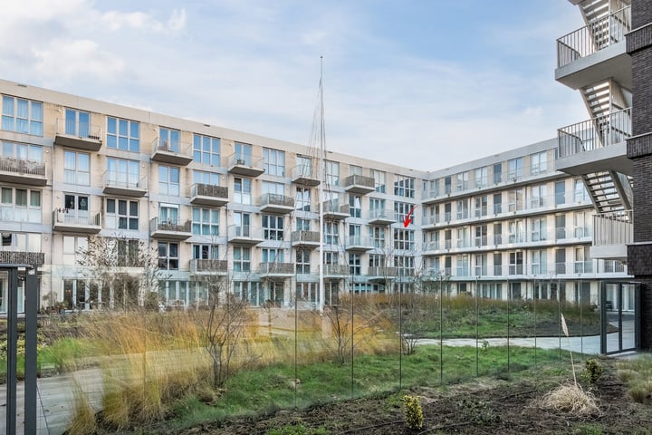 Lapis Lazuli 141 in Heerhugowaard