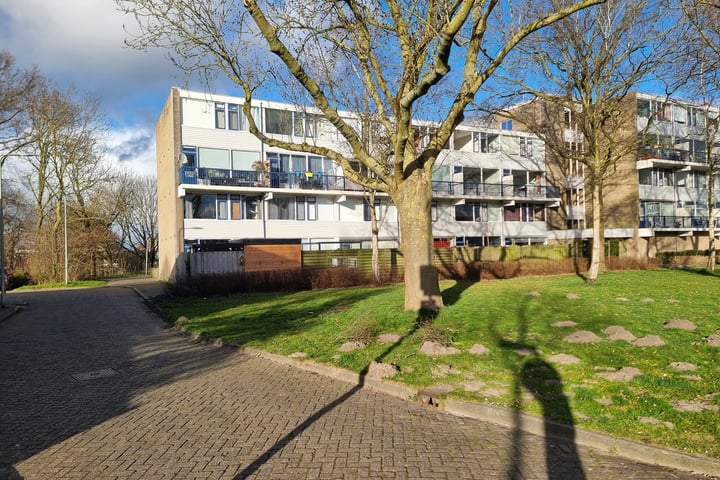 Lauwers 62 in Alphen aan den Rijn