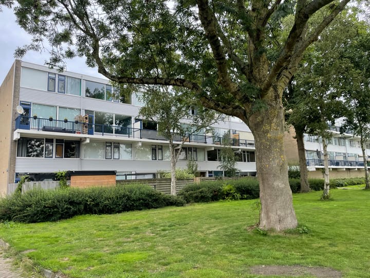 Lauwers 68 in Alphen aan den Rijn