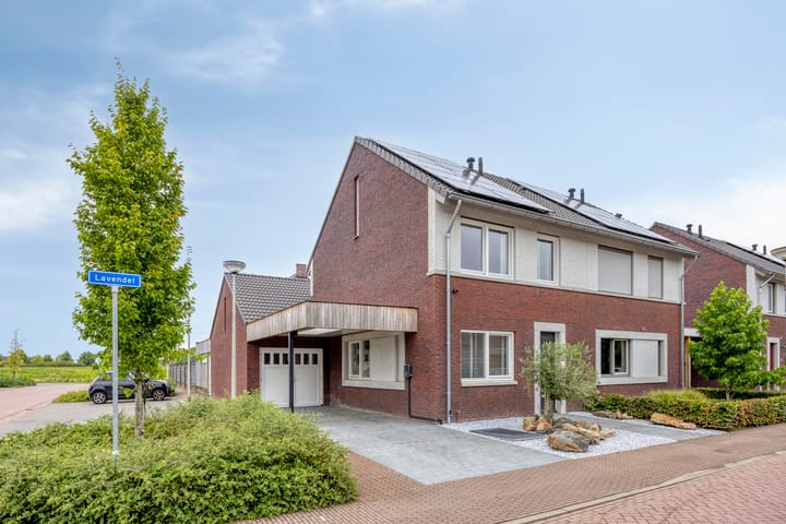Lavendel 1 in Oost West en Middelbeers