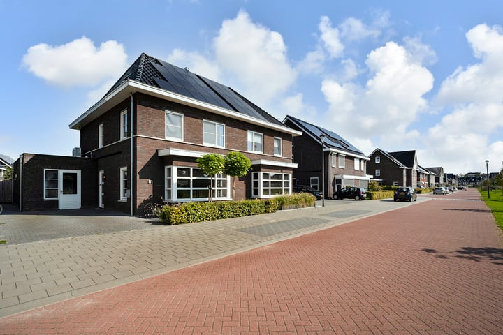 Lavendel 81 in Hardenberg