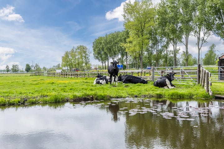 Leeghwaterweg 20A in Zaandam