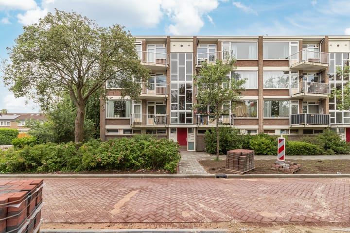 Leeuwerikstraat 19 in Wormerveer