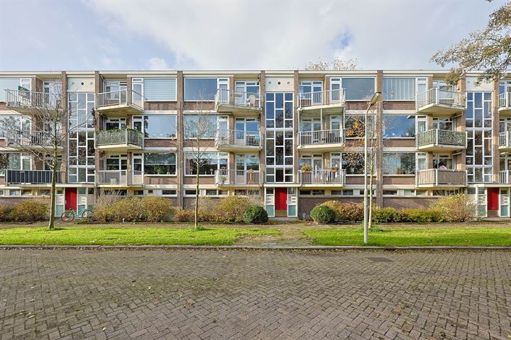 Leeuwerikstraat 41 in Wormerveer