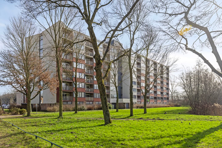 Lelystraat 2-E55 in Breda