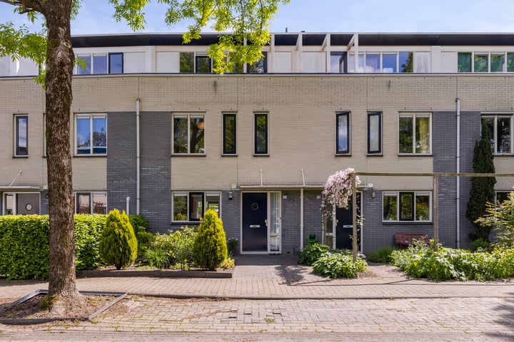 Lepelaar 91 in Meppel