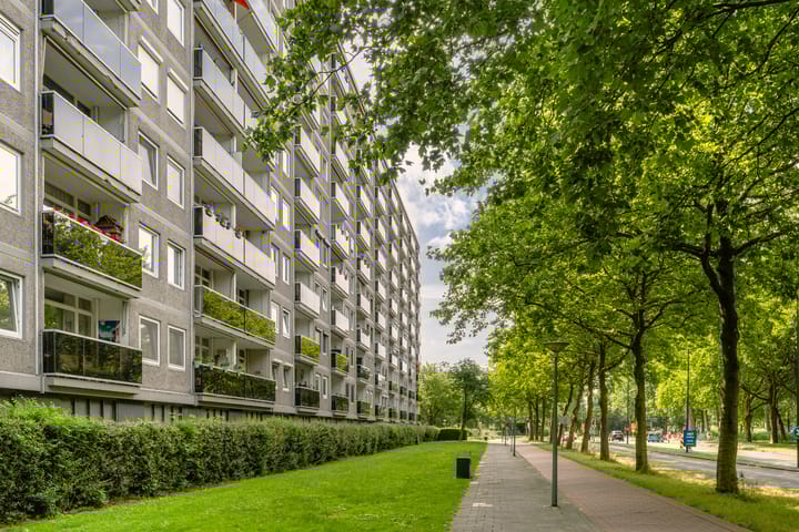 Lepelaarsingel 142 in Vlaardingen