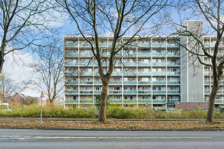 Lepelaarsingel 324 in Vlaardingen