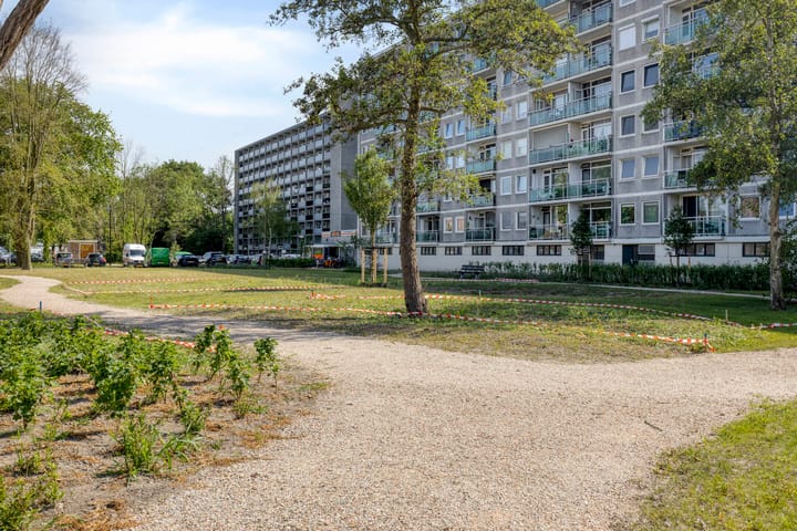 Lepelaarsingel 330 in Vlaardingen foto