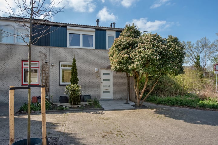 Lepelaarstraat 50 in Delft