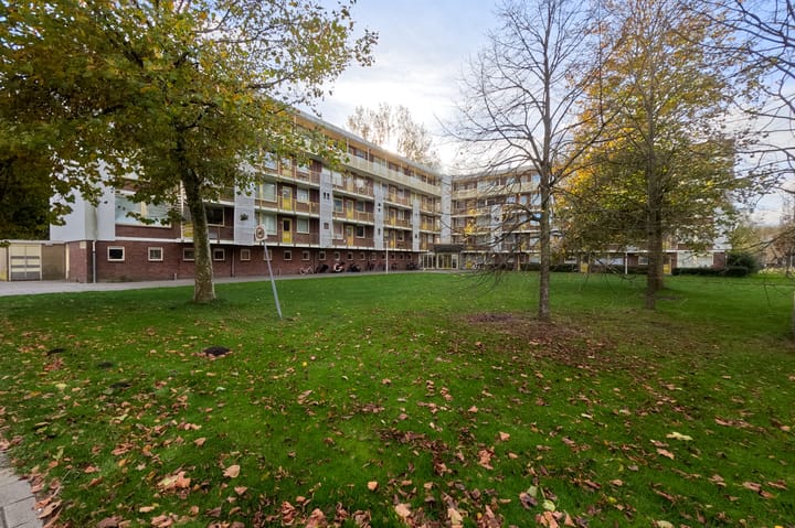 Leverkruidweg 121 in Zaandam