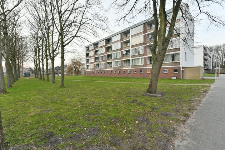 Leverkruidweg 251 in Zaandam