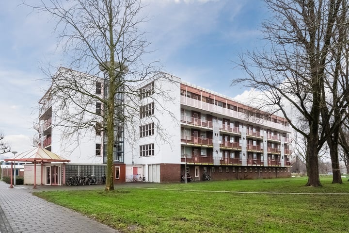 Leverkruidweg 51 in Zaandam