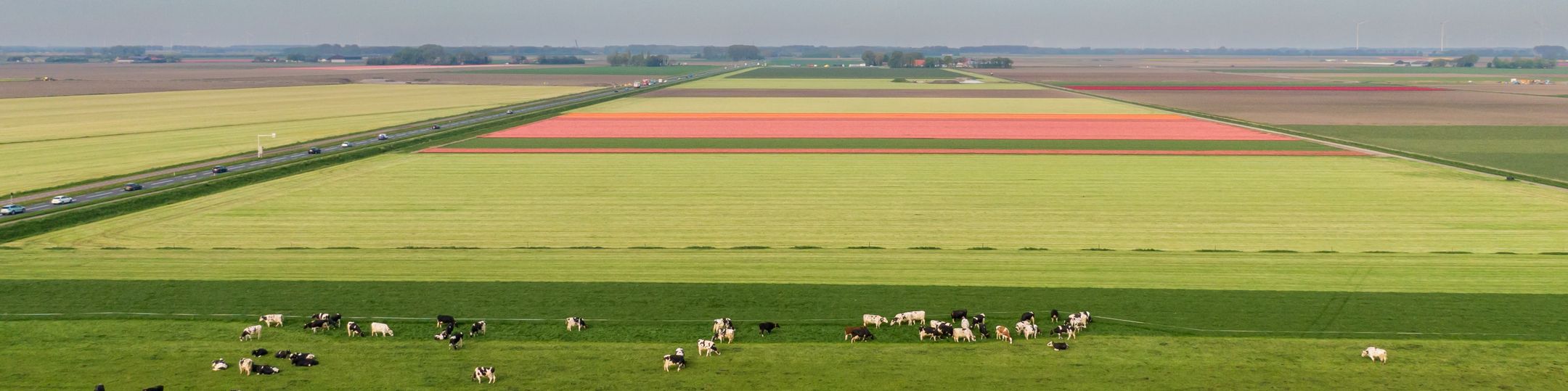 Mannschaftsfoto von Leyten & van der Linde Rentmeester & Makelaardij