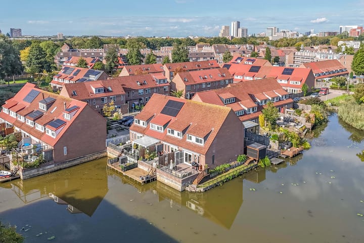 Libellendans 8 in Capelle aan den IJssel foto