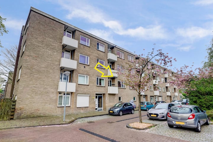 Lievenshof 31 in Alkmaar
