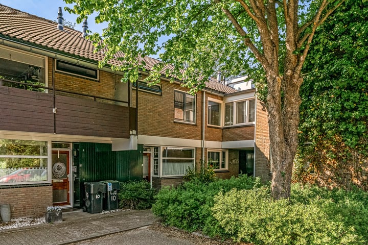 Ligusterbes 14 in Leiden