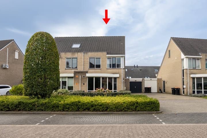 Lijster 30 in Spanbroek