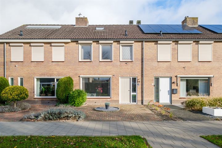 Lijster 30 in Genemuiden