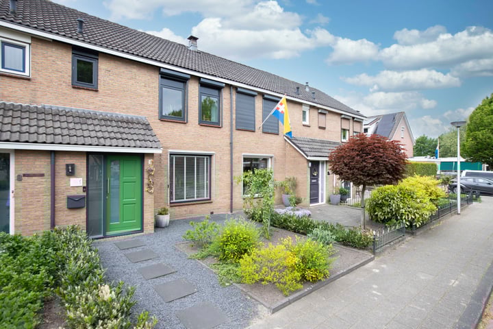 Lijster 6 in Genemuiden