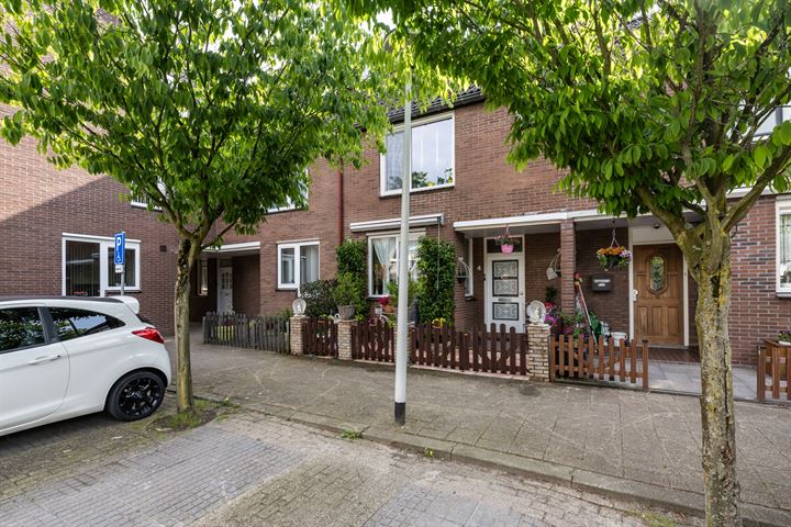 Lijsterbes 4 in Hellevoetsluis