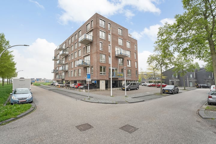 Lisdodde 25 in Zwolle