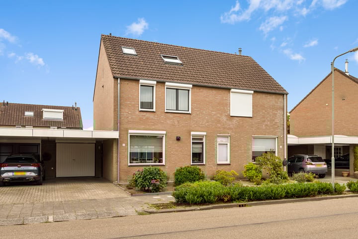 Lisdodde 8 in Venray foto