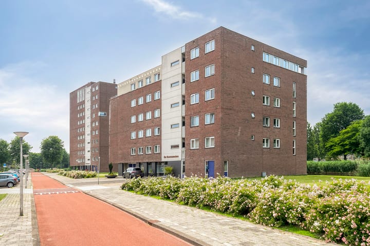 Lokkertsemolenweg 132 in Hoogvliet Rotterdam