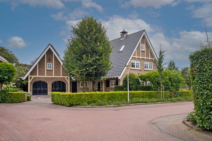 Looker molen 1 in Holten