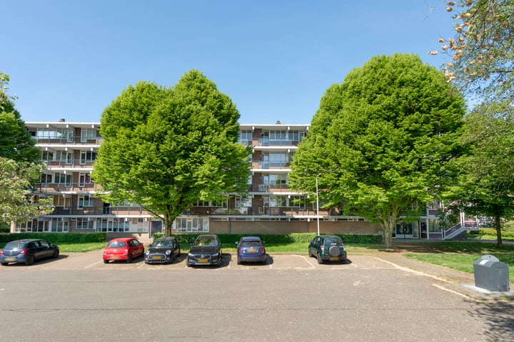 Loplein 39 in Arnhem
