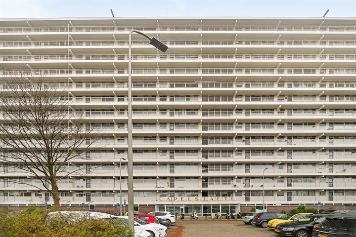 Louis Couperusplaats 295 in Capelle aan den IJssel