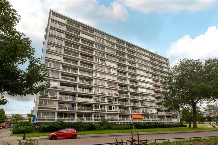 Louis Raemaekersstraat 175 in Schiedam