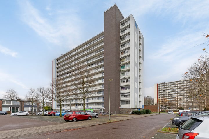 Louis Raemaekersstraat 217 in Schiedam