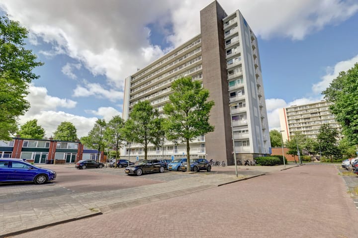 Louis Raemaekersstraat 223 in Schiedam
