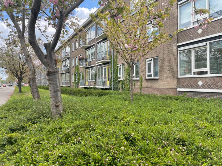 Louise de Colignystraat 68 in Alphen aan den Rijn