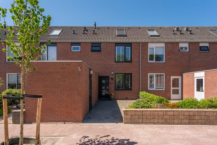 Lupine 63 in Rijnsburg