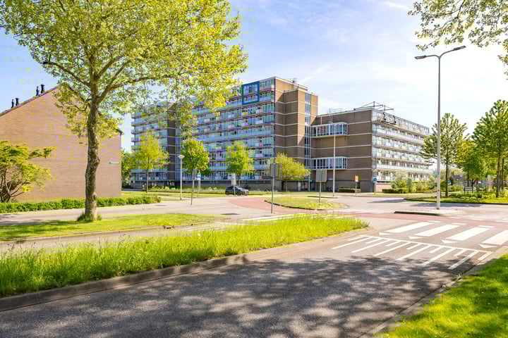 Lupinesingel 344 in Alphen aan den Rijn