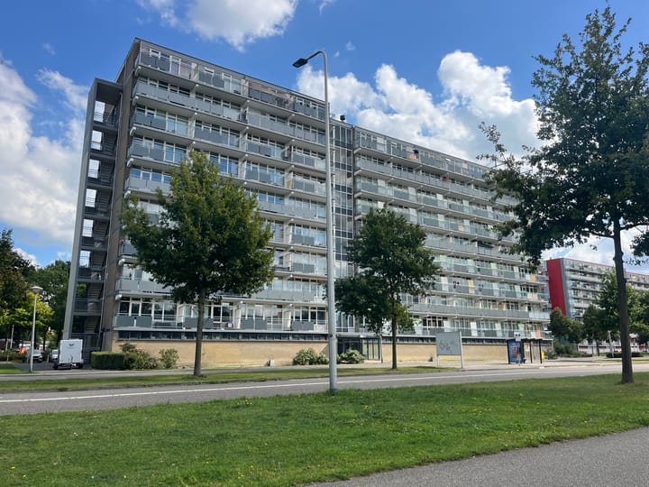 Lupinesingel 444 in Alphen aan den Rijn