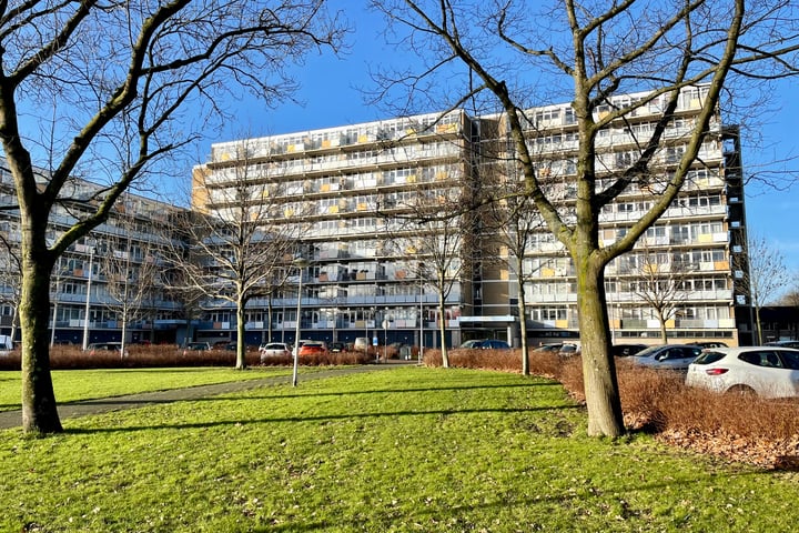 Lupinesingel 450 in Alphen aan den Rijn