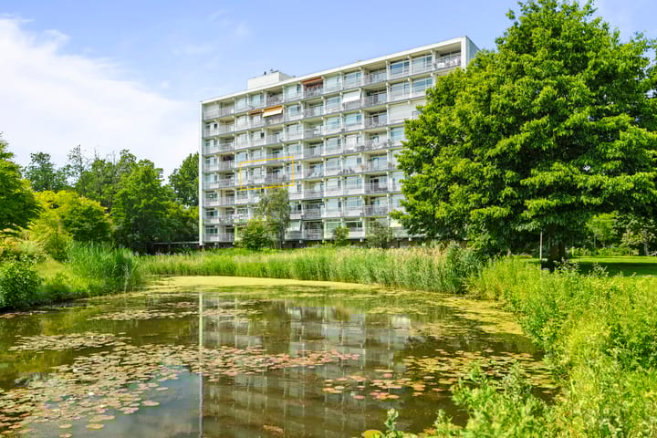 Luxemburglaan 463 in Heemskerk