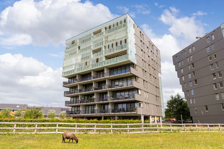 Luzernevlinder 76 in Utrecht photo
