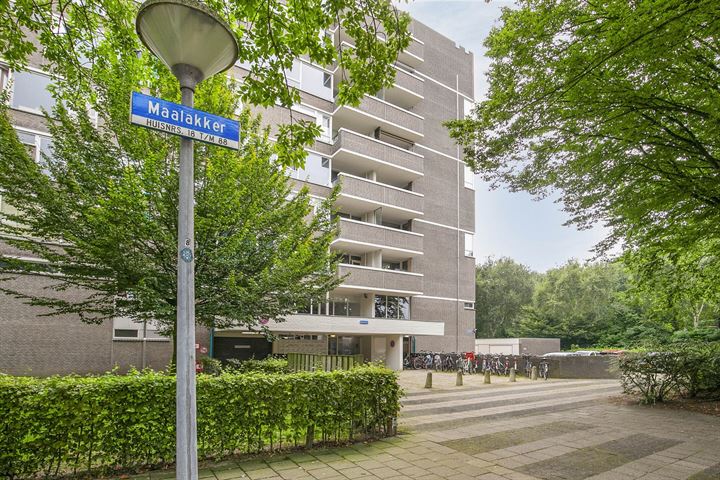 Maalakker 46A in Eindhoven