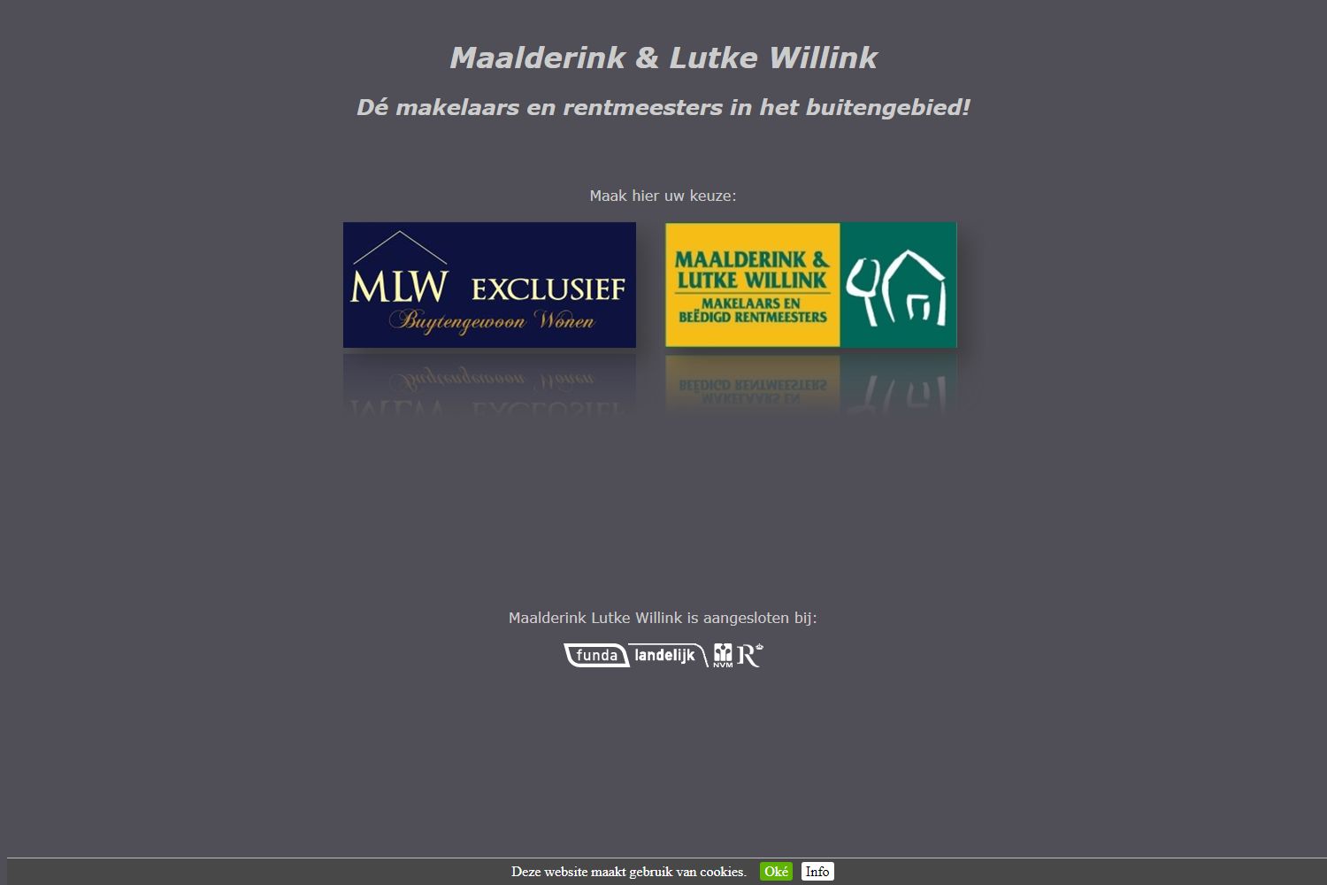 Screenshot van de website van www.maalderinklutkewillink.nl