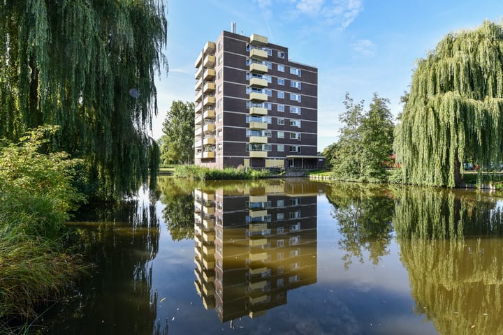 Madelief 83 in Uithoorn